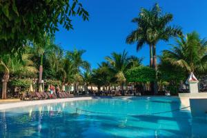 a large swimming pool with palm trees in a resort at Lacqua Diroma Apartment in Caldas Novas