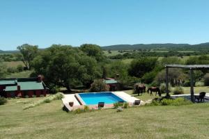 a swimming pool in a field with horses in the background at Estancia La Josefina in Villa Tulumba