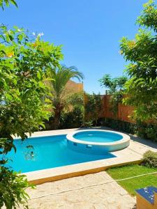 a large swimming pool in a yard with trees at Khan tunis villa in Tunis