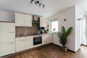 a kitchen with white cabinets and a potted plant at Stadtapartment KUS in Klagenfurt