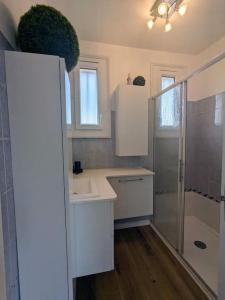 uma cozinha branca com um lavatório e um chuveiro em La Villa Voie Verte em Riorges