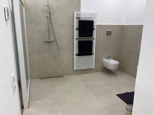 La salle de bains est pourvue d'une douche, de toilettes et d'un lavabo. dans l'établissement Ruhe, Gesundheit und Aussicht, à Bad Liebenzell