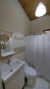 La salle de bains est pourvue de toilettes, d'un lavabo et d'une douche. dans l'établissement Cabaña vista a las montañas de manabao, à Manabao