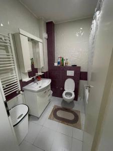 a small bathroom with a toilet and a sink at Apartment in Gjilan in Gnjilane