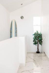 a surfboard in a white room with a potted plant at Paradise Coast PR Rooftop Suite in Isabela