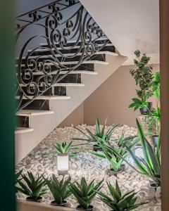 Fotografia z galérie ubytovania Boutique Hotel Bora & Villas Garamm v Pakoštane