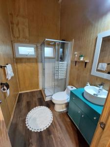 a bathroom with a shower toilet and a sink at ENTRE BOSQUE in Puelo