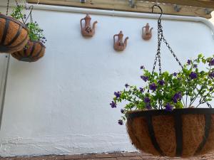 a flower pot hanging from a wall with flowers in it at Luna y Sol Calle 8 in Miami