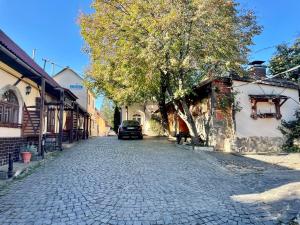 a cobblestone street with a car parked next to a building at Nautilus in Uzhhorod