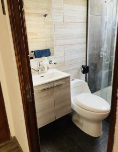 a bathroom with a toilet and a sink and a shower at Departamento Refaccionado y centrico in Vicuña