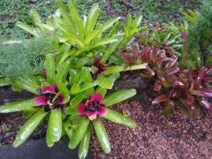 Galeriebild der Unterkunft Aldeia Pé da Serra Cabana Natureza in Três Coroas