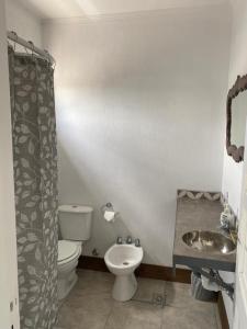a bathroom with a toilet and a sink at La Higuera con Parking B in Azul