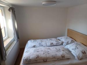 łóżko w sypialni z 2 poduszkami w obiekcie Apartmán Knín w mieście Nový Knín
