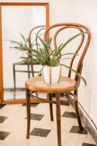 Fotografie z fotogalerie ubytování Casa Mechi v destinaci Gualeguaychú