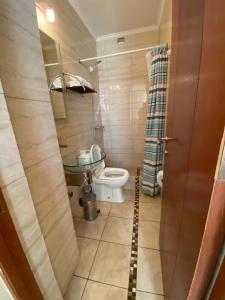 małą łazienkę z toaletą i umywalką w obiekcie AH Teatinos w mieście Santiago
