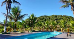 a swimming pool with palm trees in the background at Pousada Fazenda Vale Verde in Sete Barras
