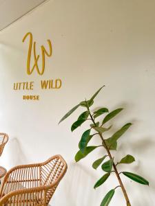 Gallery image ng private room with share bathroom at Little wild house Khaosok sa Khao Sok