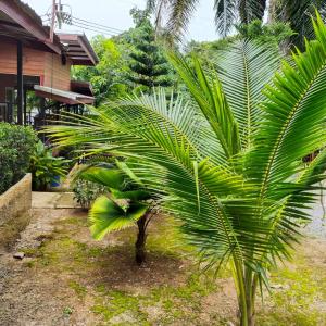 Gallery image of Palm Tian Homes A20 in Ban Chong Phli