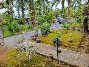 Taman di luar Palm Tian Homes A20