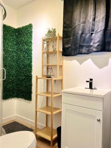 ein Badezimmer mit einem WC und einer grünen Wand in der Unterkunft HideOut City in Riverview