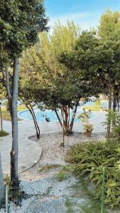 un jardin avec des arbres et un chemin au bord de l'eau dans l'établissement Ap. Vista pra piscina - Iloa, à Barra de São Miguel