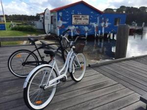 a bike is parked on a wooden dock at RIVERBANK COTTAGE in Sussex inlet