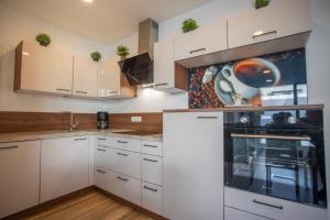 A kitchen or kitchenette at Innsbruck City Apartment + 1 free parking spot