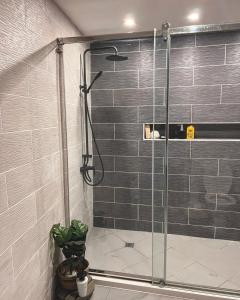 a shower with a glass door in a bathroom at DUPLEX 101 in Dzaoudzi