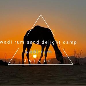 un camello parado frente a una puesta de sol en Wadi rum sand Delight camp, en Wadi Rum