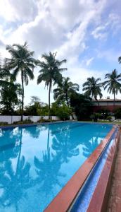 a swimming pool with palm trees in the background at Hotel Riverside in Baga