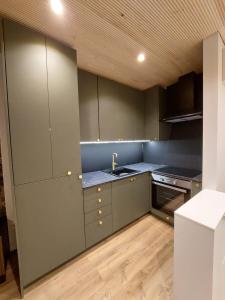 罗瓦涅米Rovaniemi traveller's nest的铺有木地板的厨房配有绿色橱柜 更多14张照片