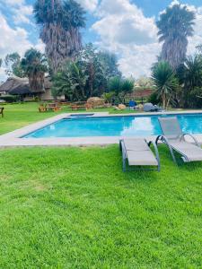 una piscina con 2 tumbonas en el césped en Riverstone Guest Lodge en Harare