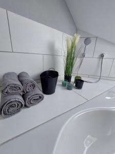 baño con toallas y plantas en una encimera en Ferienwohnung Uljana, en Schweich