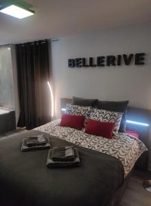 Postel nebo postele na pokoji v ubytování Bellerive Love Suite Magnifique vue lac