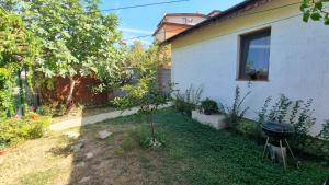 A garden outside Casa M-MiMi"s Paradise