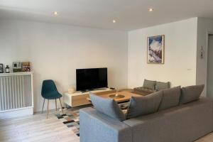 a living room with a couch and a tv at Le Globetrotteur T3 pour 4 pers 70m2 au cœur d'Annecy in Annecy