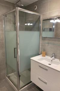 a bathroom with a shower and a sink at Le Globetrotteur T3 pour 4 pers 70m2 au cœur d'Annecy in Annecy