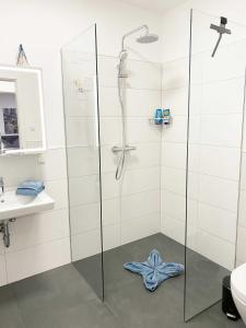 ein Bad mit einer Dusche und einem Waschbecken in der Unterkunft Wiedbachtaljuwel in Roßbach