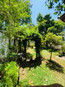 a garden with a tree covered in vines at Sunflower Inn in Dambulla