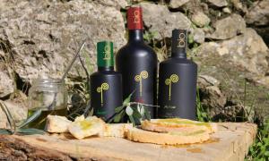 tres botellas de vino sentadas en una mesa con pan en Agriturismo Ai Massi, en Casale Marittimo