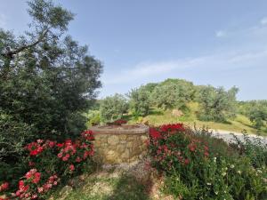 Agriturismo Ai Massi في كاسال ماريتيمو: حديقة بها زهور وجدار حجري