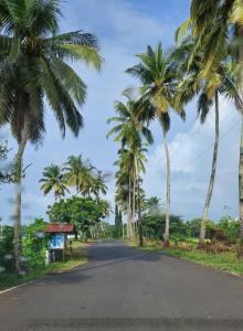 an empty road with palm trees on the side at Condo in Benaulim by MyGoaStay in Benaulim
