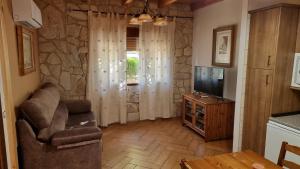 Apartamentos Rurales La Platea في إرفاس: غرفة معيشة بها أريكة وتلفزيون