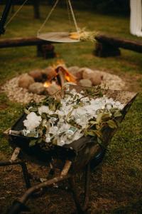 un grill avec une bande de plantes devant un feu dans l'établissement Ranczo ze stawem, 