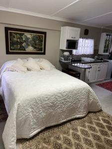 Køkken eller tekøkken på Ocean Splendour