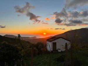 Paesaggio naturale nelle vicinanze dell'appartamento