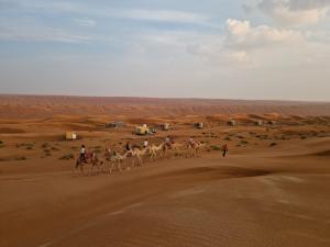 Badīyah的住宿－Sunrise Desert Local Private Camp，一群人在沙漠骑骆驼