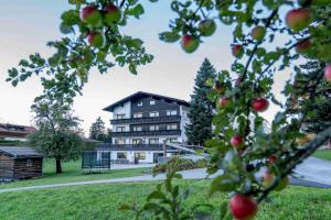 a large building in the background with an apple tree at Ferienwohnungen Dietmar Thöni inclusive Pitztal Sommercard in Arzl im Pitztal