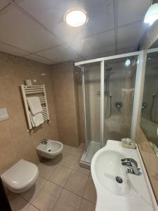 ein Bad mit einem WC, einem Waschbecken und einer Dusche in der Unterkunft Hotel Vittoria in Rosarno