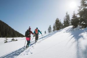 Zirlerhof talvel